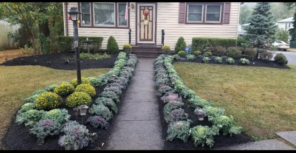 Flowers Planting Flowers Planting