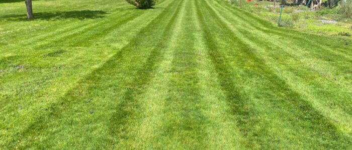 Big-Backyard-Lawn-Manteinance