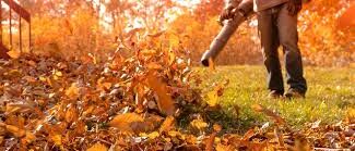 leaf-clean-up
