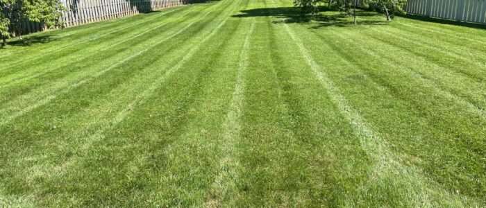 back-landscaping-maintenance