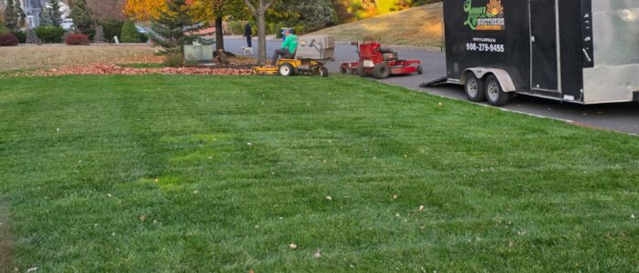 leaf-cleaning-landscape