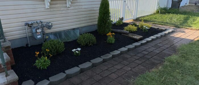 Black-Mulch-Bed