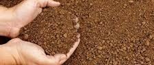 Soil
