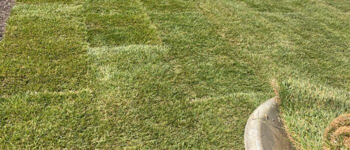 Sod-installation-team